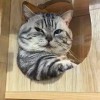 Изображение пользователя Лихоузов Александр Михайлович